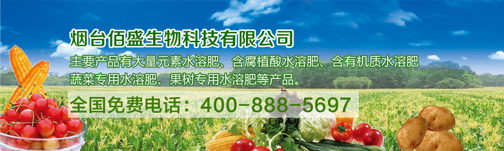 ���_(t��i)��ʢ����Ƽ����޹�˾